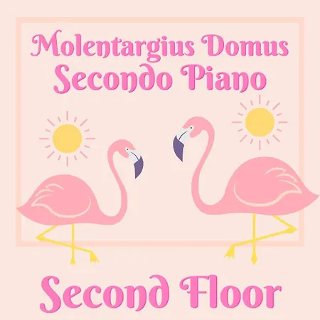 Molentargius Domus
